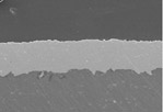 Cross section Image 1
