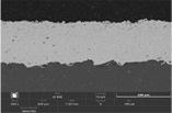 Cross section Image 3